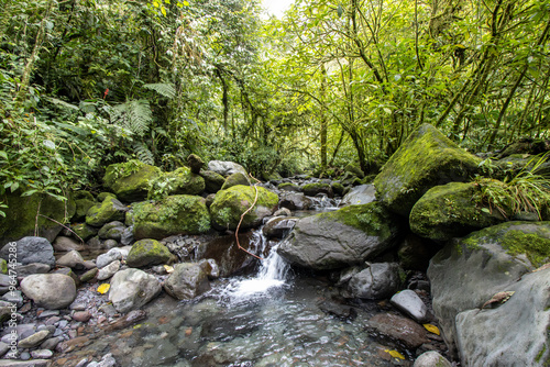 Rio en selva 1
