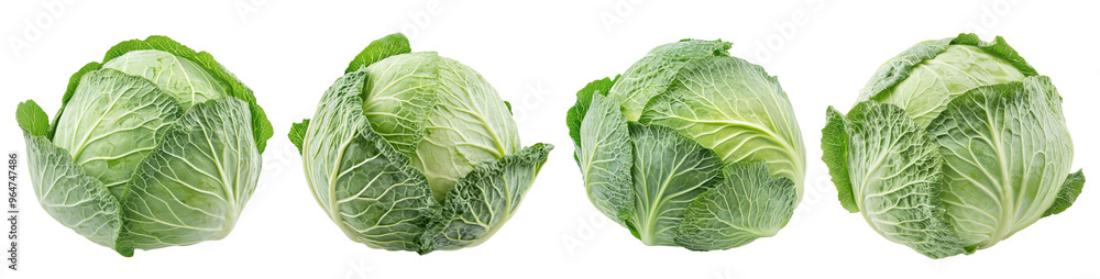 Cabbage isolated on a transparent background. Cabbage isolated on a transparent background.