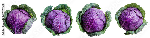 Purple cabbage isolated on a transparent background. photo