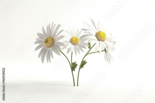 Wallpaper Mural A still life composition featuring a trio of white flowers arranged on a tabletop Torontodigital.ca
