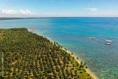 Aerial view of beach, clear ocean and palm trees in Pasikuda, Sri Lanka photo