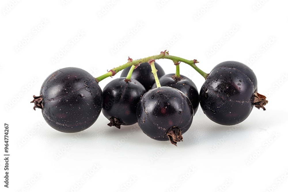 Fresh black grapes arranged on a clean white surface, ideal for food and beverage photography Fresh black grapes arranged on a clean white surface, ideal for food and beverage photography