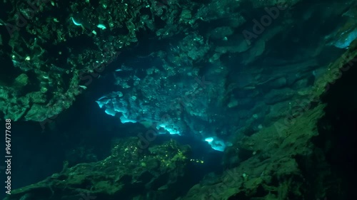 Wallpaper Mural Top view from above, flat lay rotating cave background with dark, damp walls, underground rivers flowing through it, and glowing bioluminescent organisms covers the entire frame space Torontodigital.ca