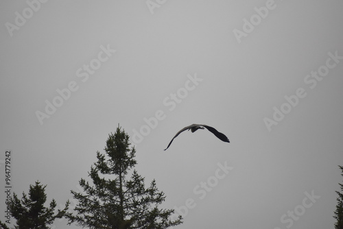 Parc Mauricie Lac Wapizagonke Et Sentier National 7 Septembre 2024 photo