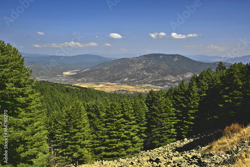 Granite Bolders, Molika Pine and the Pelagonija valley viewed from the Pelister National Park in North Macedonia