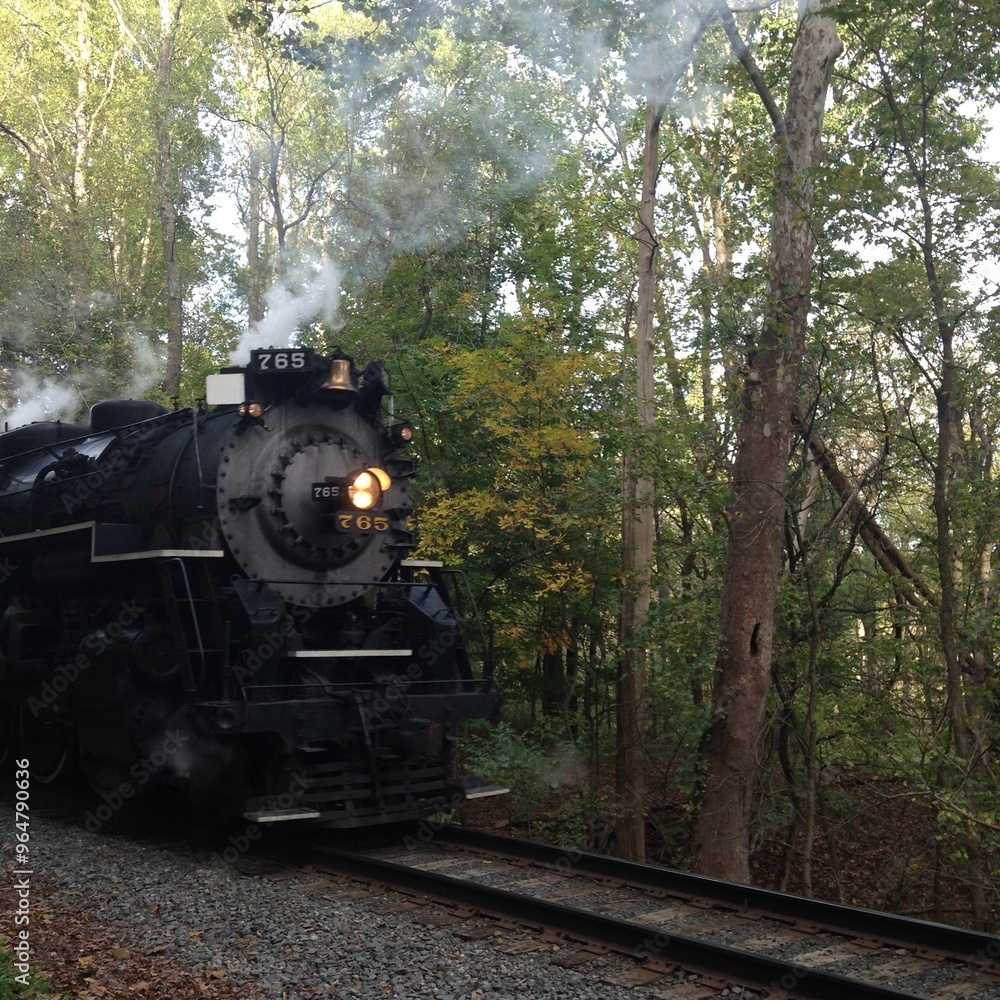 Fototapeta premium Old Fashioned Steam Engine Train Against Trees