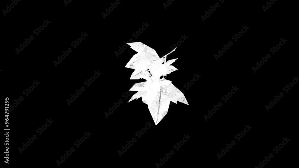 transition Fast Abstract stroke black and white background, animation of leaf splash. Paint stroke black and white transition background transition Fast Abstract stroke black and white background, animation of leaf splash. Paint stroke black and white transition background