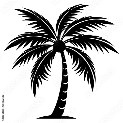 Coconut Tree Silhouette Vector Art