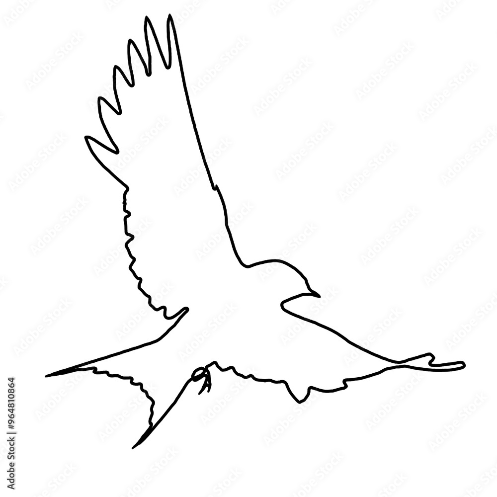 Sparrow Outline | Sparrow Illustration | Bird Drawing Sparrow Outline | Sparrow Illustration | Bird Drawing