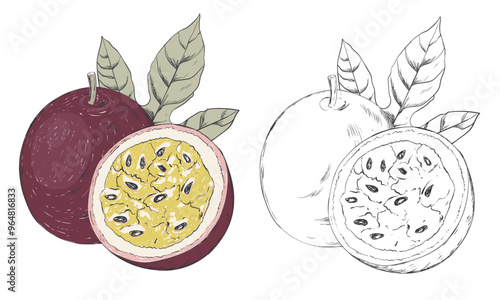 Passion fruit set print design.