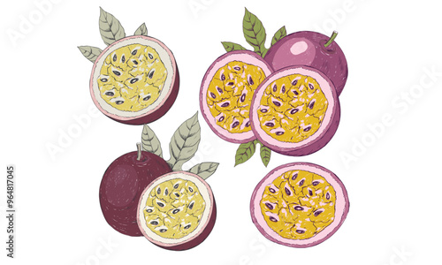 Organic Passion fruit print design. Passion Fruit set.