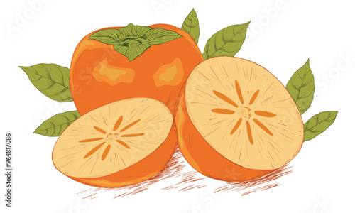 Organic persimmons fruit print design. 