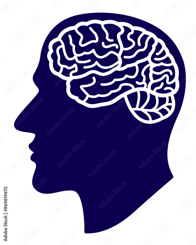 Human head and brain Human head and brain