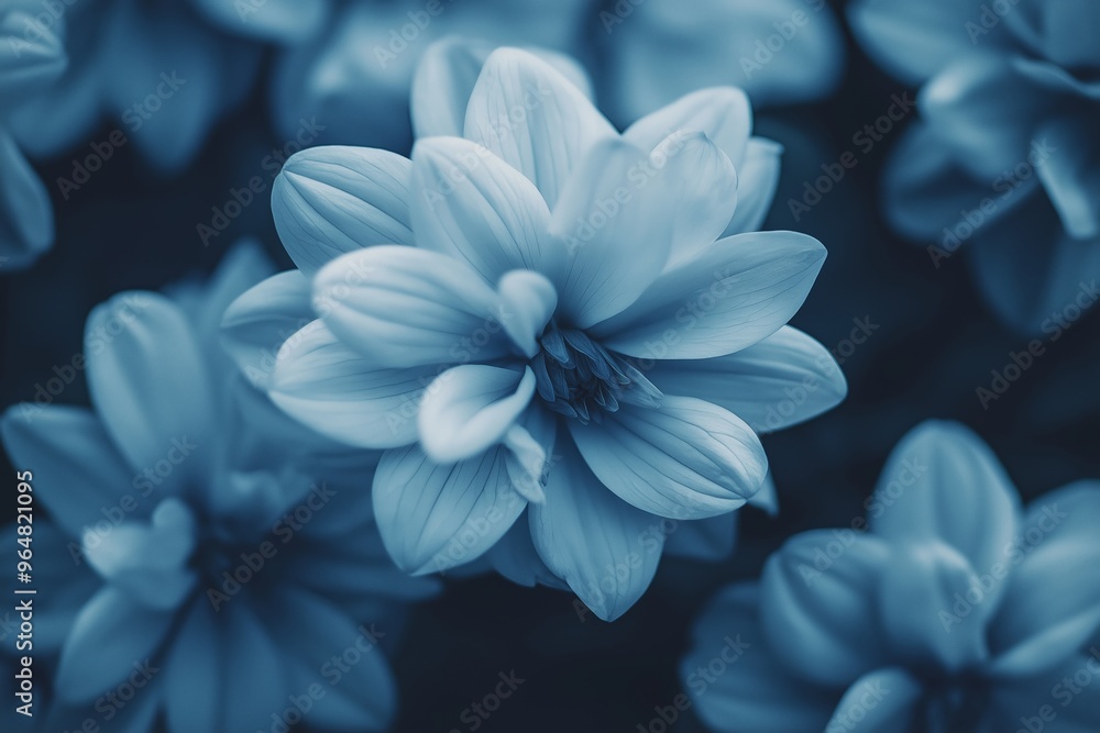 A close-up of a blue flower with soft, delicate petals and a dreamy, blurred background enhancing its beauty. A close-up of a blue flower with soft, delicate petals and a dreamy, blurred background enhancing its beauty.