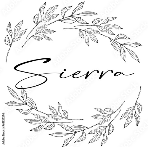 Sierra - colore nero - nome scritto racchiuso in un cerchio corona di foglie Alloro- grafica vettoriale - per siti web, auguri, banner, cartoline, stampe, cricut, silhouette, sublimazione, laurea