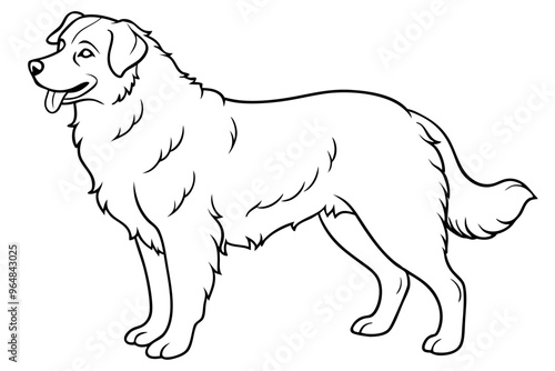 Australian Shepherd silhouette vector illustration