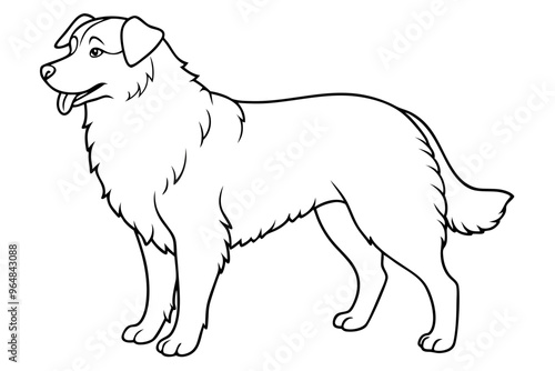 Australian Shepherd silhouette vector illustration