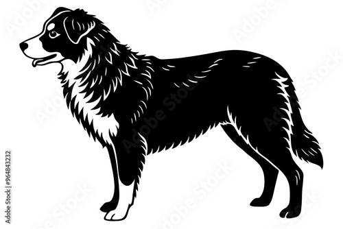 Australian Shepherd silhouette vector illustration