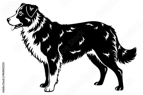 Australian Shepherd silhouette vector illustration