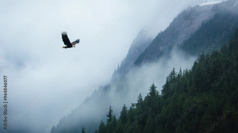 Naklejka premium Eagle Soaring Through Misty Mountains