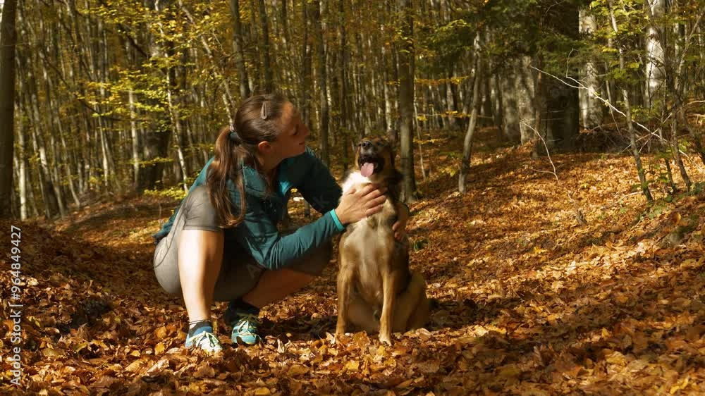 CLOSE UP, PORTRAIT: Joyful woman kisses her happy dog in a sunlit forest filled with vibrant fall foliage. Both share a loving moment amidst a sea of golden leaves, as they enjoy the autumn season. CLOSE UP, PORTRAIT: Joyful woman kisses her happy dog in a sunlit forest filled with vibrant fall foliage. Both share a loving moment amidst a sea of golden leaves, as they enjoy the autumn season.