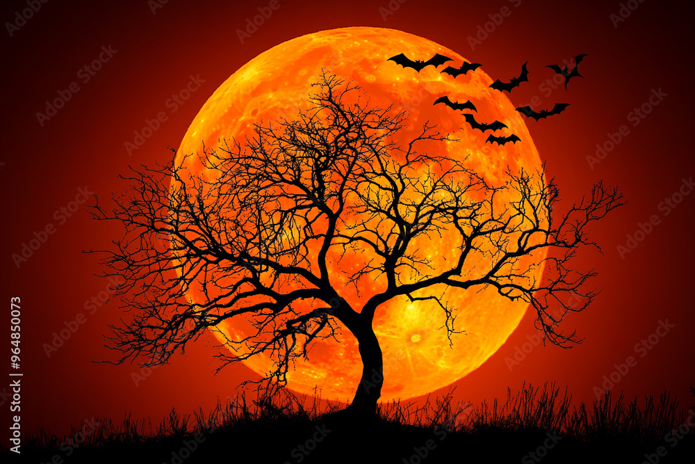 Full Moon with Creepy Tree Silhouettes and Bats Flying for a Spooky Halloween Night Illustration Full Moon with Creepy Tree Silhouettes and Bats Flying for a Spooky Halloween Night Illustration