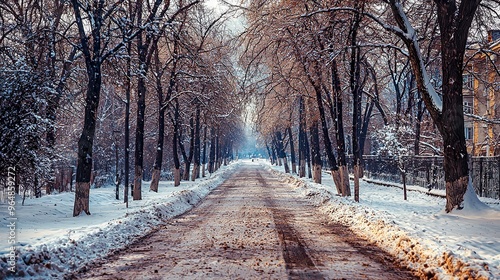 Winter snow landscape photo