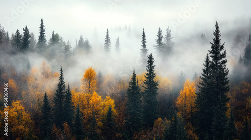 Fog over the forest wraps around the trees, and the autumn colors make the landscape especially picturesque and mysterious