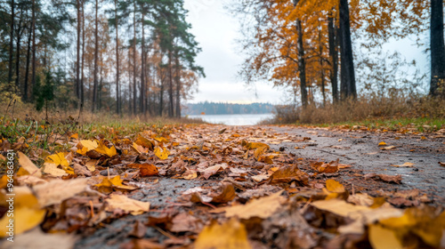 Crunchy leaves underfoot, fresh and invigorating air – autumn in all its majesty and beauty.