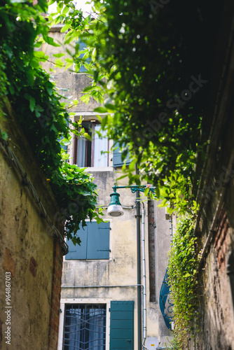 old house in the town, Green bushes