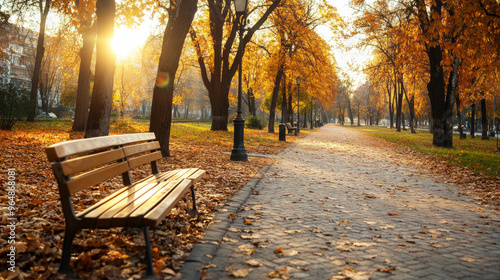 A cozy autumn park with vibrant maple trees attracts with its charm and warmth