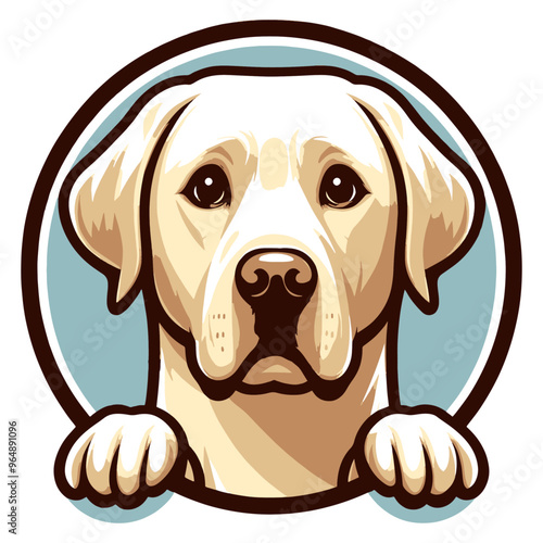 Labrador Retriever 01