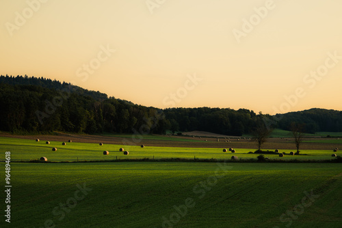 Des meules de foins réparties dans un champ sous un lever de soleil  photo