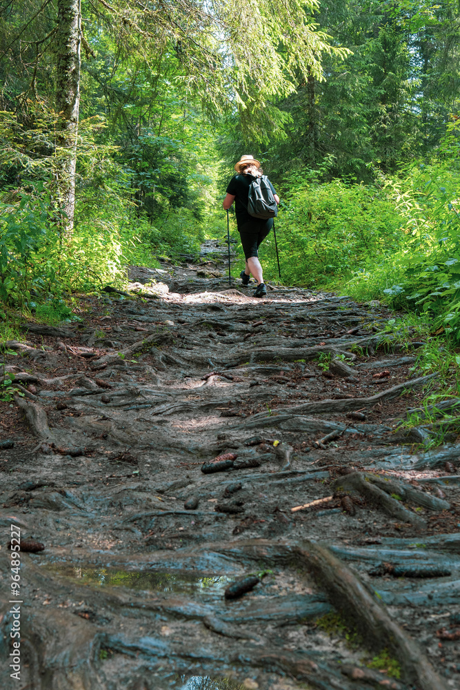 une randonneuse avec un chapeau et un sac à dos en haut d'un chemin couvert de racines une randonneuse avec un chapeau et un sac à dos en haut d'un chemin couvert de racines