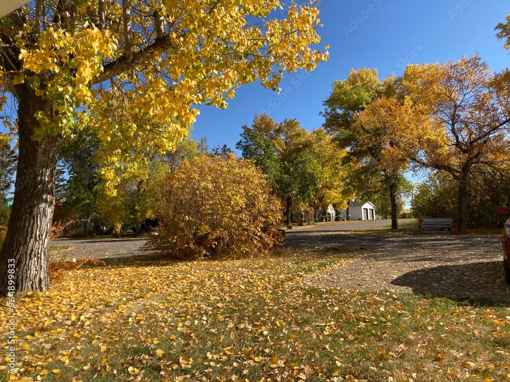 autumn in the park autumn in the park