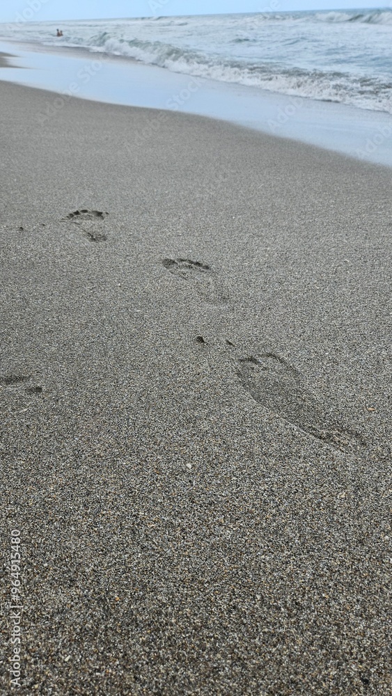 footprints on the beach footprints on the beach
