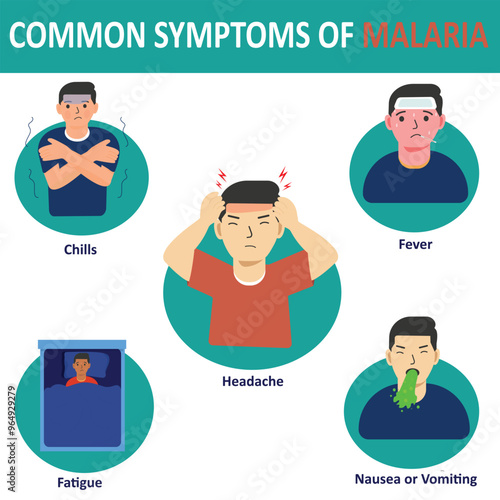 Vector infographic of  the common symptoms of malaria