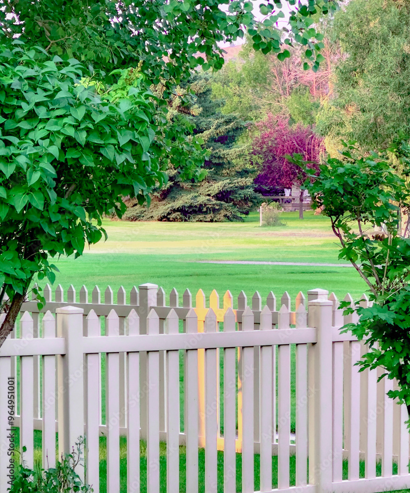 White picket fence has yellow sunrise bouncing across the green grass garden and the fence rails. The scenic landscape is framed with colorful bushes and trees. White picket fence has yellow sunrise bouncing across the green grass garden and the fence rails. The scenic landscape is framed with colorful bushes and trees.