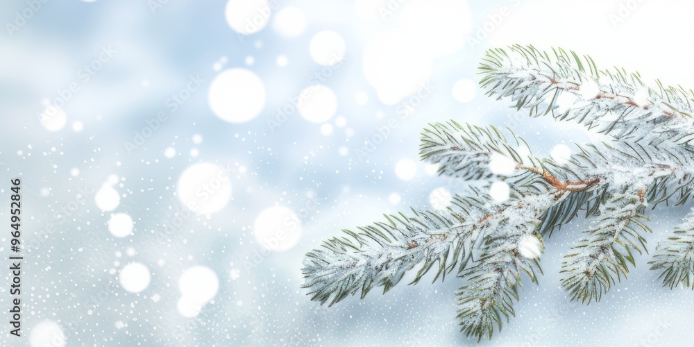 beautiful spruce branch on blue background with white lights bokeh. copy space beautiful spruce branch on blue background with white lights bokeh. copy space