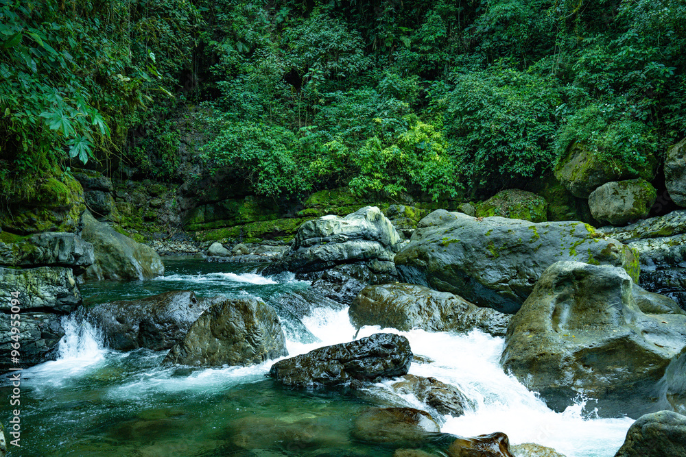 Rio Rio