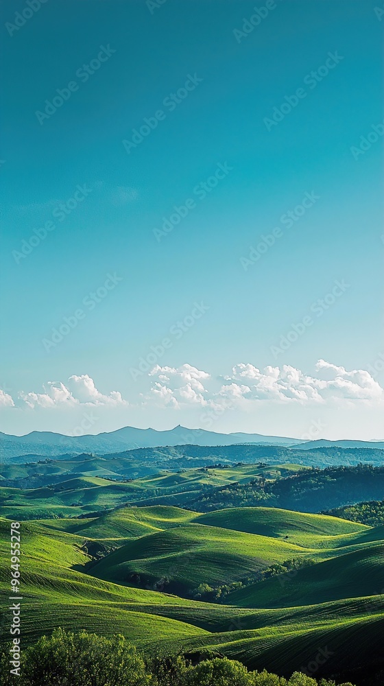 Obraz premium Rolling green hills stretch across the landscape under a clear blue sky. The vibrant green of the hills contrasts with the deep blue of the sky, creating a picturesque scene. In the distance, a range