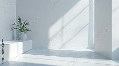 Minimalist Interior with Potted Plant and Sunlight