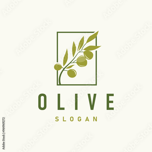 Olive Oil Logo, Olive Leaf Plant Herbal Garden Simple Elegant Luxurious Icon Design Template illustration