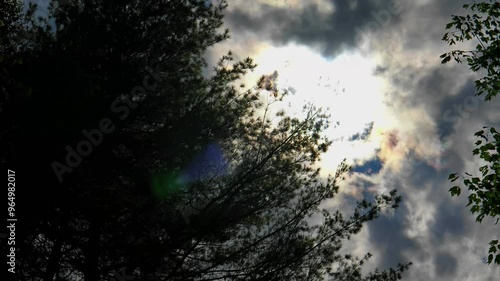 Hiking on a dirt road in the connecticut woods on a summer afternoon