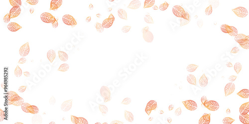 紅葉　葉　秋　背景	