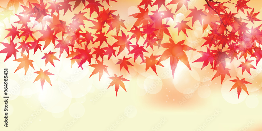 紅葉 葉 秋 背景 紅葉 葉 秋 背景