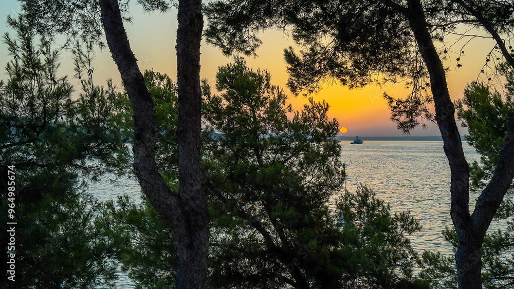 Sunset view through trees with the sea on the horizon and soft sky tones Sunset view through trees with the sea on the horizon and soft sky tones