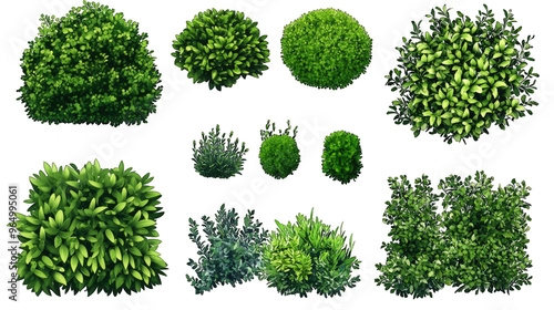 Set of greenery - different types of bushes and landscaping, isolated on white background