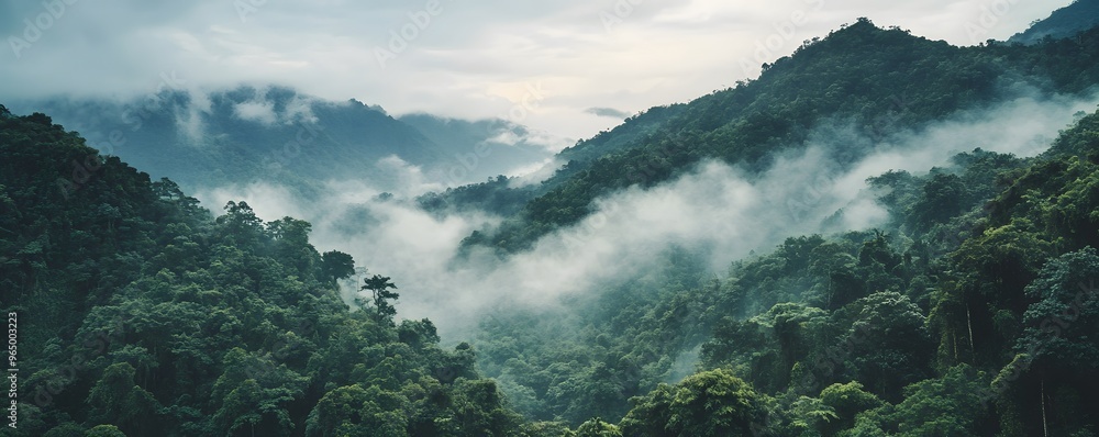 Misty Mountain Range with Lush Green Foliage Misty Mountain Range with Lush Green Foliage