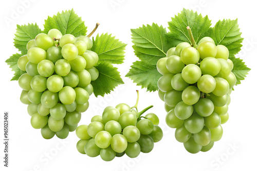 bunch of green grapes  isolated on transparent background png photo